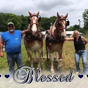 Meet your Posher, Wendy